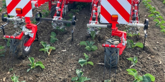 Demo schoffelen in en tussen de rij met Einböck