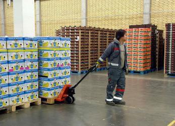 BT handpallettruck